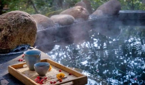 《2023全球健康經(jīng)濟監(jiān)控報告》：2024年溫泉市場將超過2019年