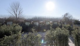 竹主題溫泉酒店：北京WHY溫泉酒店規(guī)劃設(shè)計(jì)——海森溫泉設(shè)計(jì)智庫(kù)